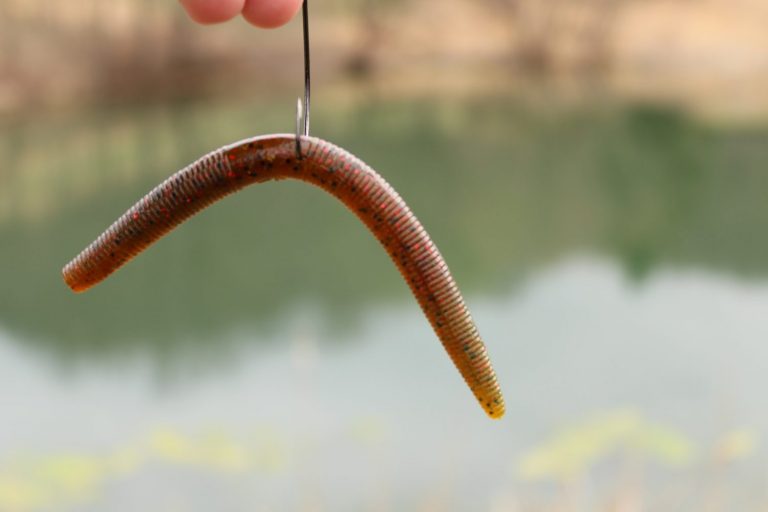fishing lures toxic soft plastic bait