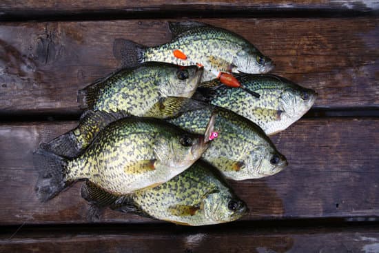 best month to catch crappie slabs