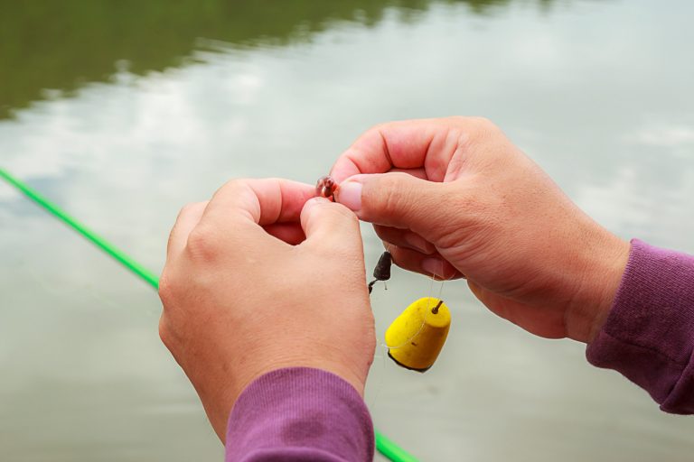 fishing line for beginner knot tying