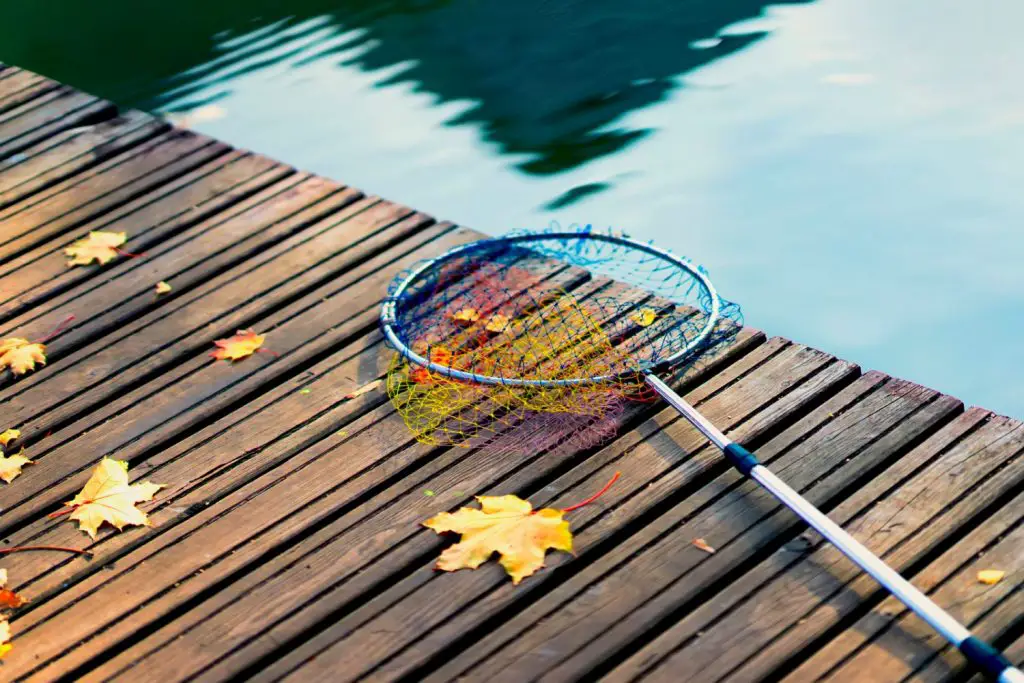 catch fish in a pond with a net net on a dock