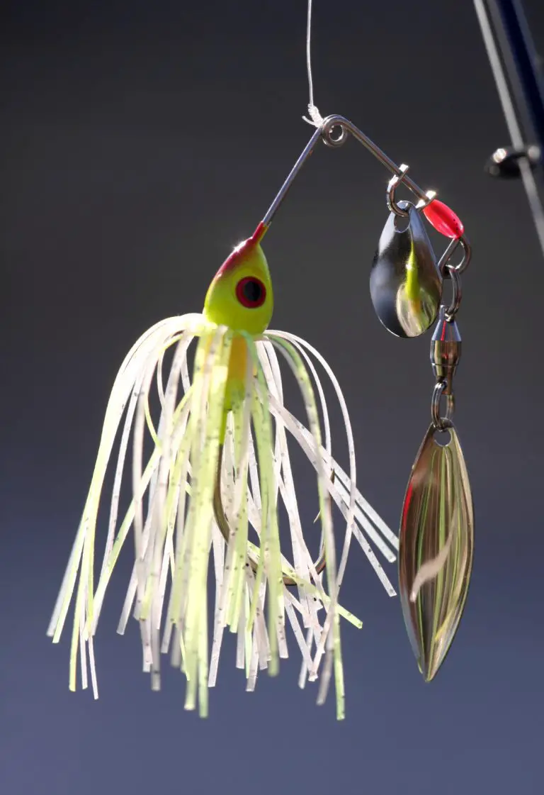 best color spinnerbait yellow and white