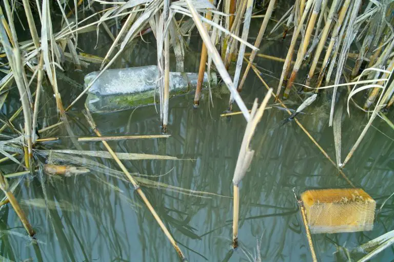 bottle lake ways to be a more eco-friendly angler