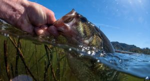 how to get better bass fishing