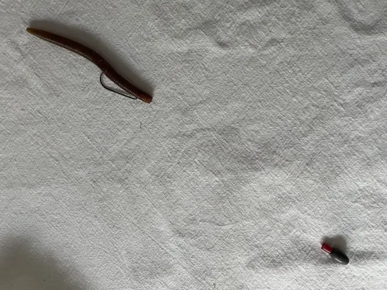 carolina rig plastic worm