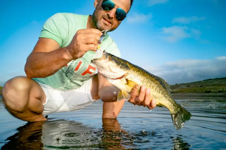bass fishing cost