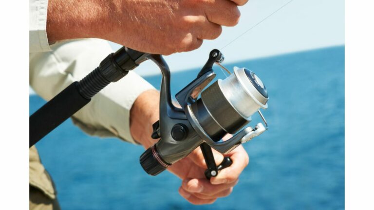 fishing reel cost bass fishing